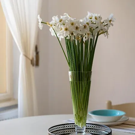 Eclectic Apartament Oradea Exterior photo